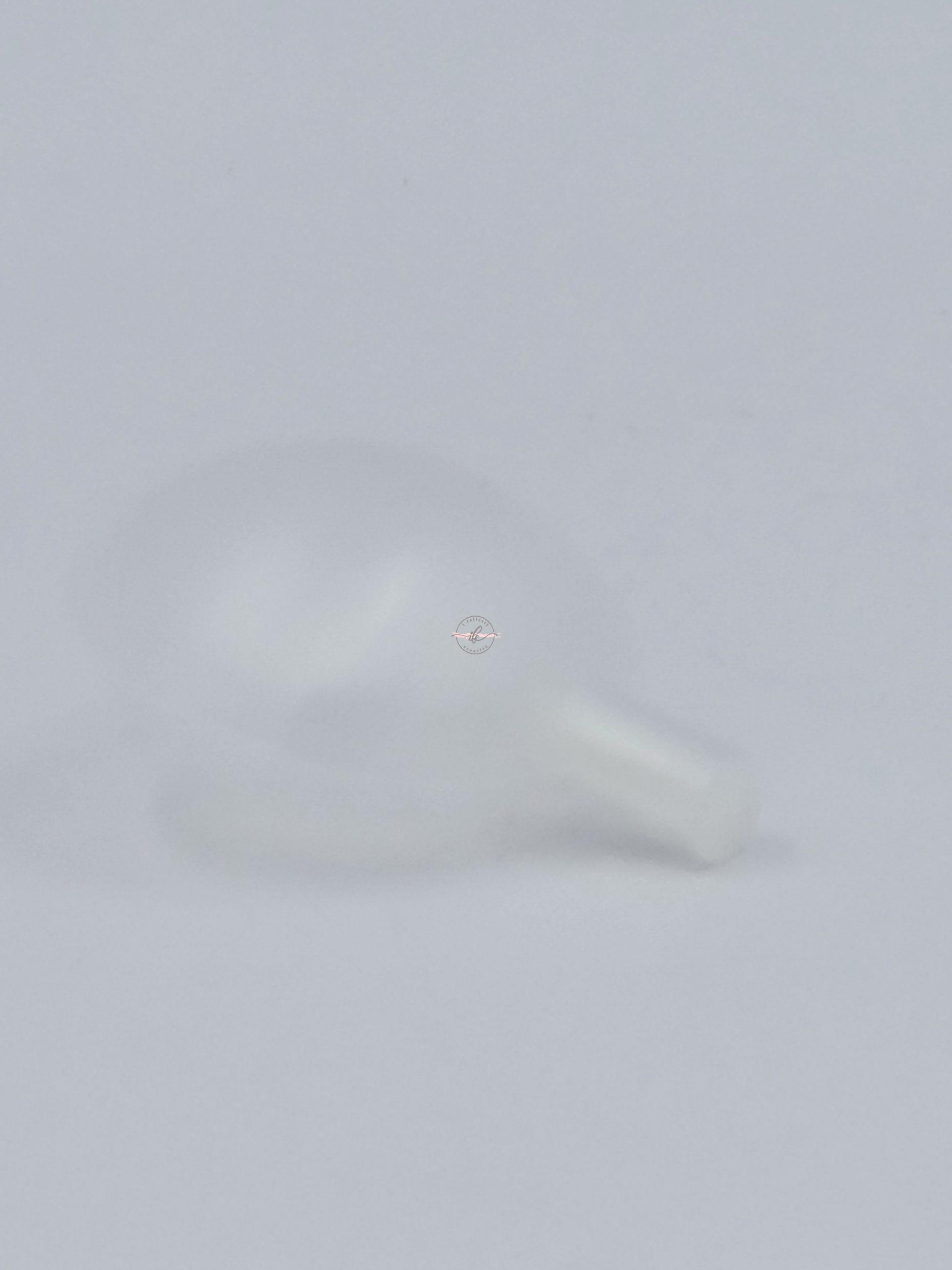 20230130 165811