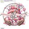 PS 241 - Gnomo Cupido