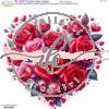 PS 258 - Cuore Rose Rosse