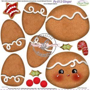 PS 012 - Pannello Ginger