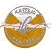 Kamihimo col. Giallo