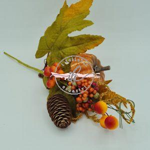 Zucca con Pigna
