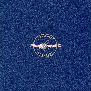 TAKA-SU Glitter Old Blue