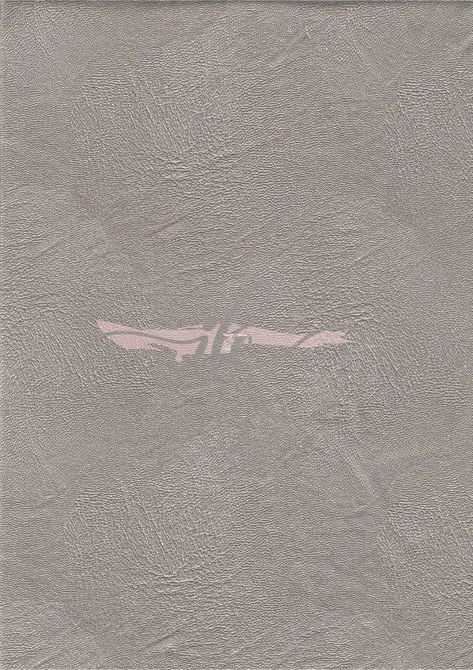 Il Vanitoso Col. 012 Avorio